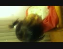 sleeping2014