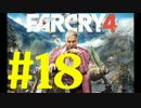 【実況】狂気の最高峰へようこそ。FARCRY４実況プレイ#18