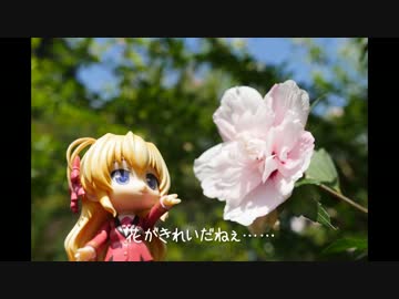 ニート、旅をする【92日目】