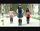 【電力不足♂Girl】蚊【踊ってみた】