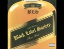 Black Label Society - The Beginning... At Last (Audio Only)