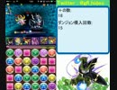 【 パズドラ 】 ノマダン+卵3倍 1時間周回
