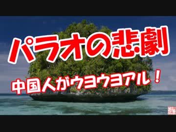 【パラオの悲劇】 中国人がウヨウヨアル！