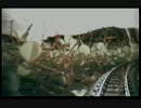 雑草鉄道