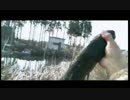 3.22いの師春はまだかな釣り場散歩x264.aac.mp4