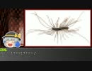 ゆっくり霊夢とやる夫が学ぶ 昆虫大百科 番外編part7