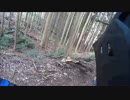 林道をかっこよく走りたいな（仮）4
