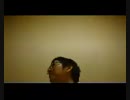 ワクワクがHOWEVERを歌ってみた。