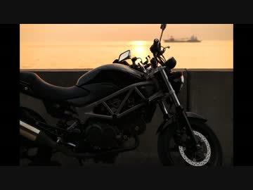 スーパーカブ110からVTR250へ乗り換えた！