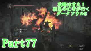 【実況】攻略は甘え！初見の亡者が行くダークソウル2【DarkSoulsII】part77