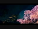 桜色【オリジナル曲】