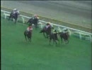 【競馬】 1983年　優駿牝馬（オークス）　ダイナカール