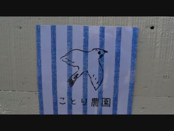 黄色いぽんこつと行く山口県　「Part　３」