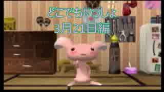 【実況】うるさい女が猫に言葉を教える【どこでもいっしょ3月21日編】