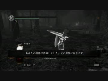 【ダークソウル】完全オリジナル侵入