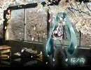 「桜ノ雨」歌ってみた。【オク下】