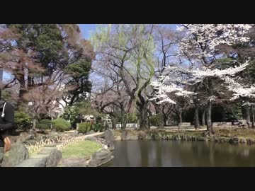 【2015/3/25】靖国神社：春
