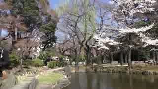 【2015/3/25】靖国神社：春