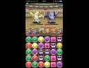 パズドラ　チャレダン１０ＬＶ８　究極ゼウス&ヘラPT　ガチャ限無し