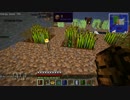 ぽちゃのMinecraft工業日記　十三日目