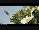 『春に一番近い街』歌ってみた 【紅太】