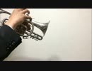 光るなら　【トランペットとコルネットで本気で演奏してみた】
