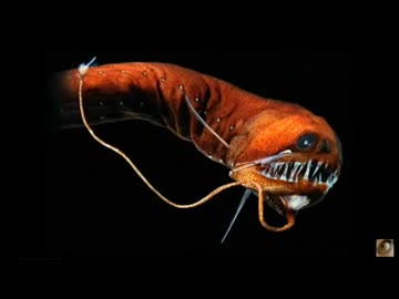 ■ 2015/03/23 永井先生 悪魔城ドラキュラ6