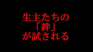 予告改　ドラクエ10　第4回　大運動会　　特報！