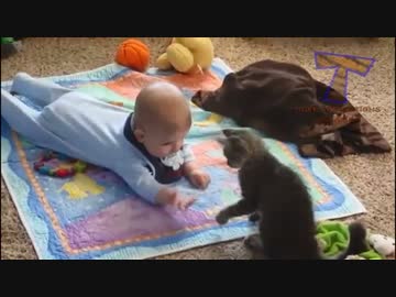 小さい頃からとっても仲良しの猫と赤ちゃん