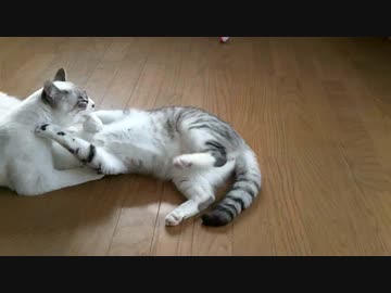 手術後初めての実家