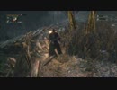 【ブラッドボーン】獣狩りの夜が始まったらしいpart18【プレイ動画】