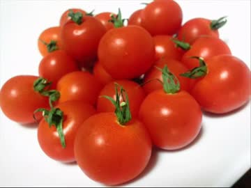 【実況】　トマト　【中編】