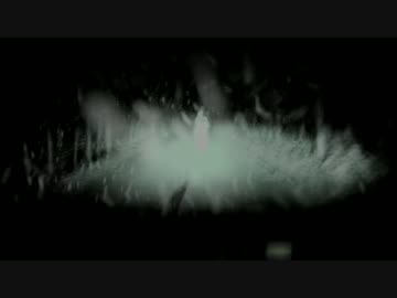 【閲覧注意】雪道ｺﾜｲ