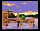 ドンキーコング3　ディンキー中心プレイで105％　Part1-2