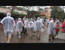 【WDW】アニマルキングダム散策Part.4