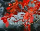 岩崎宏美『ロマンス』北京語版１…沈雁「請你回頭」