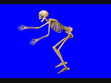 先輩と化した骸骨BB＋使用例.mp4