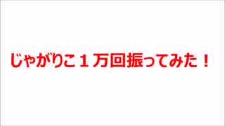 じゃがりこ１万回振ってみた＋ハンバーグにしてみた