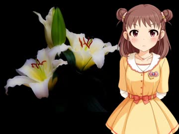 【モバマス】乳揉師愛海