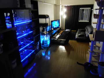 我々の自作機部屋 １７８　再アップロード