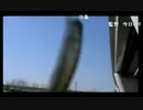 3.29bikou師渡良瀬川よりx264.aac.mp4