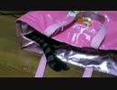 保冷バッグで温まるという発想