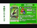 コクワガタ達と共にグレイテストチャンピオンをまた目指す！part27