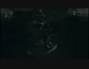 【等身大】Bloodborne　その4【花粉症】