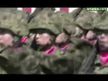 海外で自衛隊は軍隊と扱われているのに軍と言えば叩かれる日本w