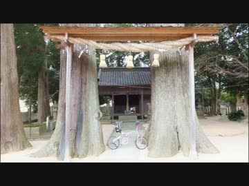 チャウチャウのとある日常？～多々良木ダムまで走ってみたの巻？！～
