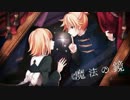 【二周年記念に歌ってみた】魔法の鏡【にこあ】