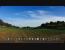 農業研修と深夜登山と夢と希望と死と　　　石神アグリカルチャー1503