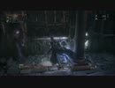ブラッドボーン　再誕者　プレイ動画