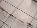 【プラッタ】HDDを分解すると・・・【レース】